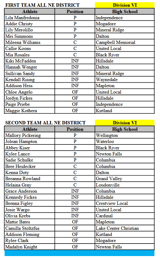 Congrats to the Division VI All-NE District softball selections. #LoCoBats