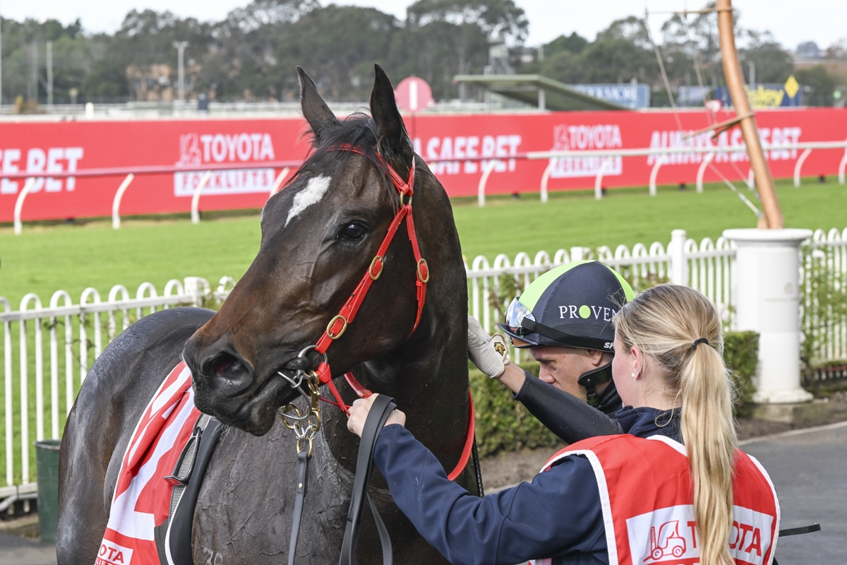 Tara Madgwick (@breednet) on Twitter photo He has big shoes to fill, but this Shalaa 3YO with the big pedigree is on his way! breednet.com.au/news/39659/the…! <a href="/PrideRacing/">Pride Racing</a> <a href="/ProvenTbreds/">PR🟢VEN Thoroughbreds</a> <a href="/Goodwood_Farm/">Goodwood Farm</a> <a href="/Woodside_Park/">Woodside Park Stud</a> <a href="/MarkDodemaide/">Mark Dodemaide</a> <a href="/vicbreeders/">TBV</a> He has big shoes to fill, but this Shalaa 3YO with the big pedigree is on his way! breednet.com.au/news/39659/the…! <a href="/PrideRacing/">Pride Racing</a> <a href="/ProvenTbreds/">PR🟢VEN Thoroughbreds</a> <a href="/Goodwood_Farm/">Goodwood Farm</a> <a href="/Woodside_Park/">Woodside Park Stud</a> <a href="/MarkDodemaide/">Mark Dodemaide</a> <a href="/vicbreeders/">TBV</a>