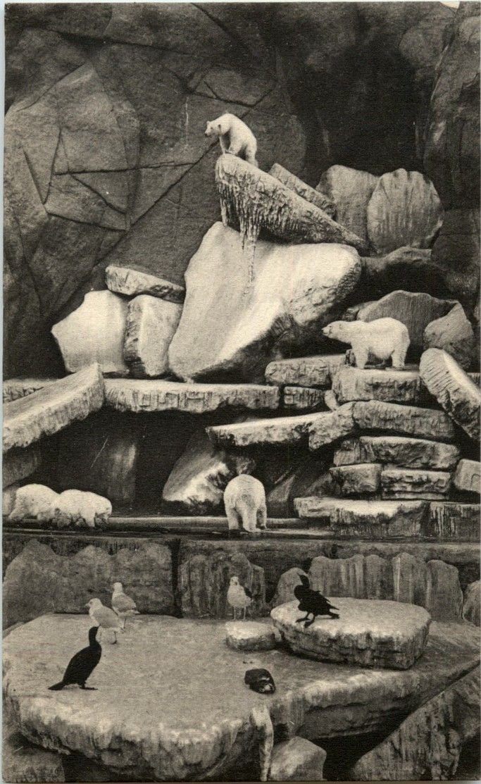 122nd Day of 47’ᛋ term (1338 days left):
May 22 - Book II: Company of Trees - P156

Dän shows, using a couple quotes, one from Jules Verne’s &gt;Voyage au Centre de la Terre&lt; (1864), how certain scenes in novels from the 19th century were (sub?) consciously inspired by panoramas.