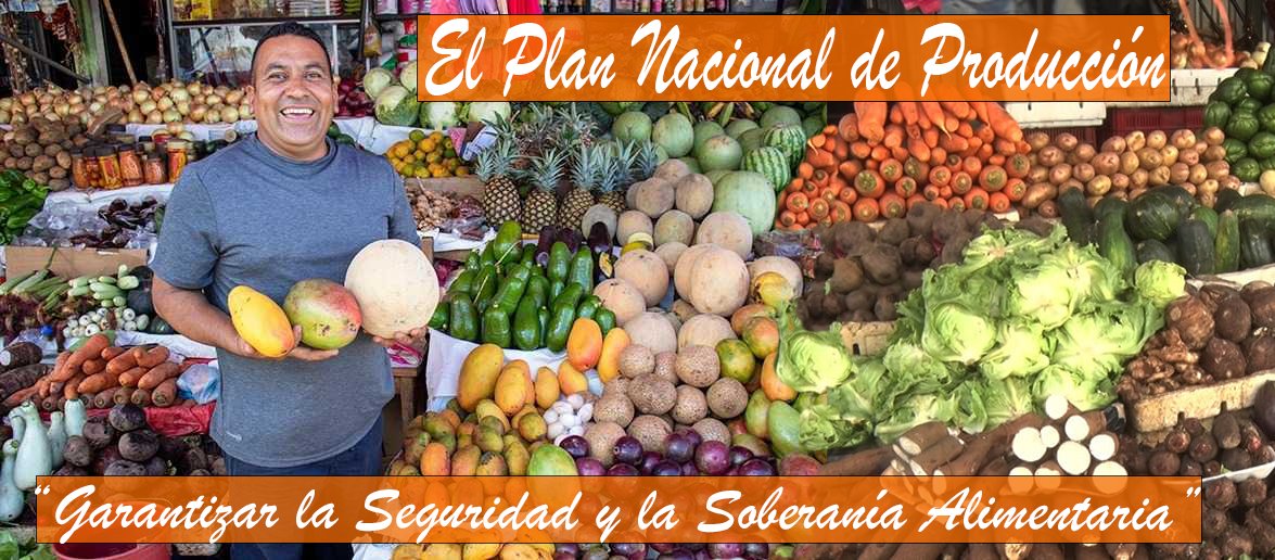 El Plan Nacional de Producción 2025-2026 tiene como objetivo: Alcanzar más y mejor producción, para garantizar la Seguridad y la Soberanía Alimentaria. Contribuir al crecimiento económico sostenido y la estabilidad del empleo en el campo. Dinamizar
el comercio y las exportaciones