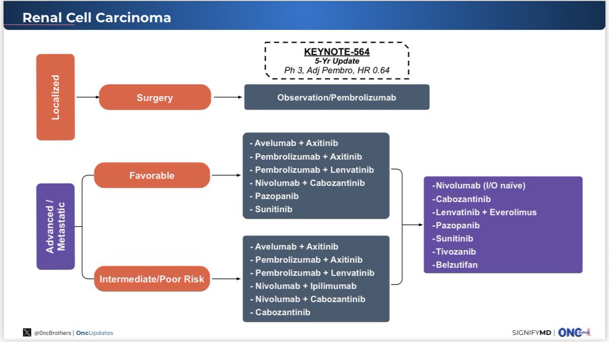 Michael Serzan, MD (@mikeserzanmd) on Twitter photo 💫 ADVANCEMENTS IN ONCOLOGY
#AdvInOnc25 <a href="/SignifyMD/">SignifyMD</a>
Delighted to join <a href="/OncBrothers/">Oncology Brothers</a> who are driving #MedEd and #SoMe forward through innovative podcasts and treatment algorithms for the practicing oncologist!
🤩A masterclass by <a href="/PGrivasMDPhD/">Petros Grivas</a> <a href="/drenriquegrande/">Enrique Grande</a> highlighting 💫 ADVANCEMENTS IN ONCOLOGY
#AdvInOnc25 <a href="/SignifyMD/">SignifyMD</a>
Delighted to join <a href="/OncBrothers/">Oncology Brothers</a> who are driving #MedEd and #SoMe forward through innovative podcasts and treatment algorithms for the practicing oncologist!
🤩A masterclass by <a href="/PGrivasMDPhD/">Petros Grivas</a> <a href="/drenriquegrande/">Enrique Grande</a> highlighting