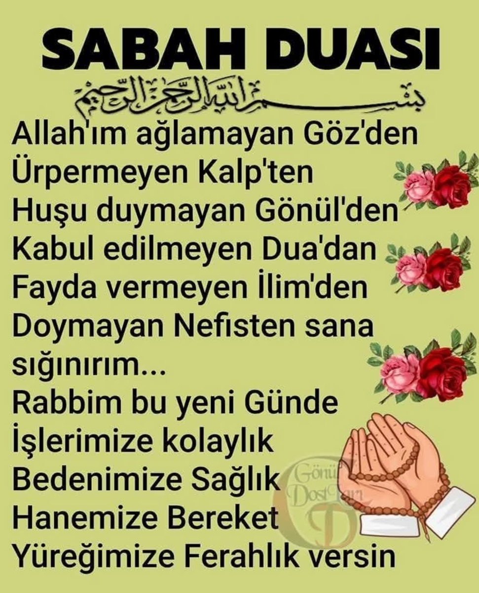 Yüksel Eyüboğlu (@eyuboglu_yuksel) on Twitter photo 