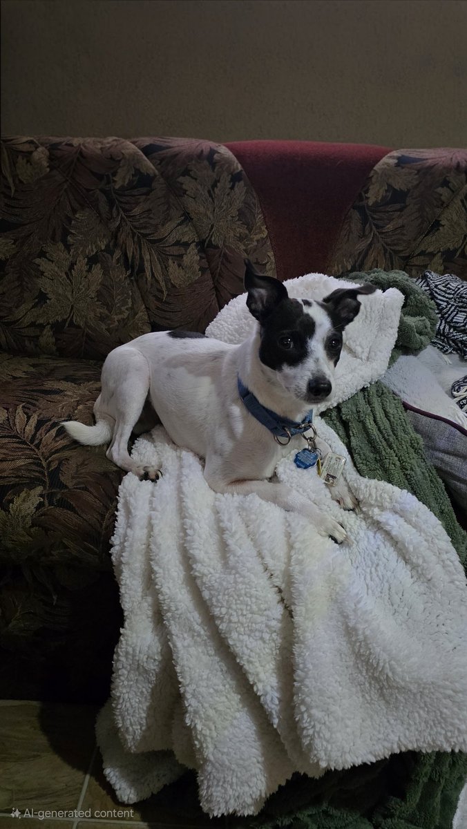 qblacklock's tweet image. Boys weekend at camp. Hosting my son and grandsons. 🐶 Maxwell 
🍻🍻🐺☕️🍁 2021 12.2% 🐑🐑🐑🍻
@ephoustonbill @Just4BeerLovers @badhopper @JohanBBT @D_V_T_ @BrianVolkert @blofmitten @Senor_Greezy @CATbrew13 @BeerSnobSean @scottvillers 
#properglassware #properhatwear