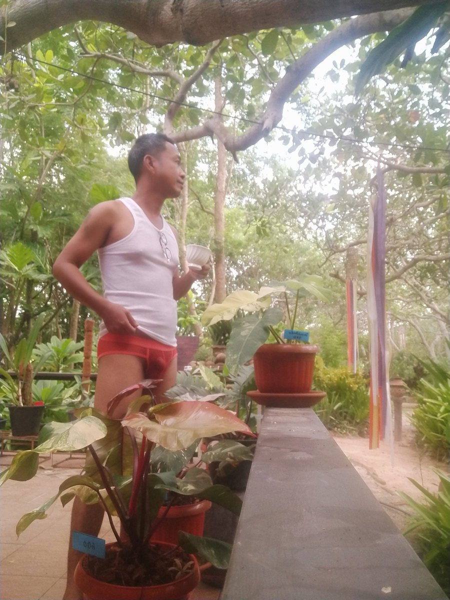 มาซดกาแฟยามเช้ากัน..☕🐦‍⬛🌳🏠