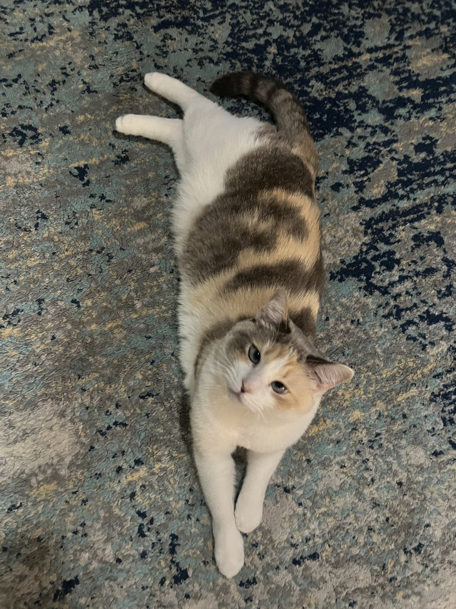 Being long for the day