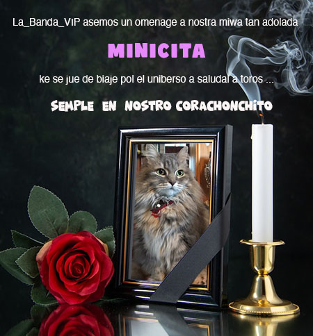 oijan familia... antes de telminal, keremo asel un recoldatorio i nos justalia qu toros degaran unas palabritas lindas  de apoio poke stamo sejuros ke minisita desde dnde este aolita ls va a leel i se baa a onel contenta y tamien su ma... <a href="/SoyLaGataMini/">Mini</a>
