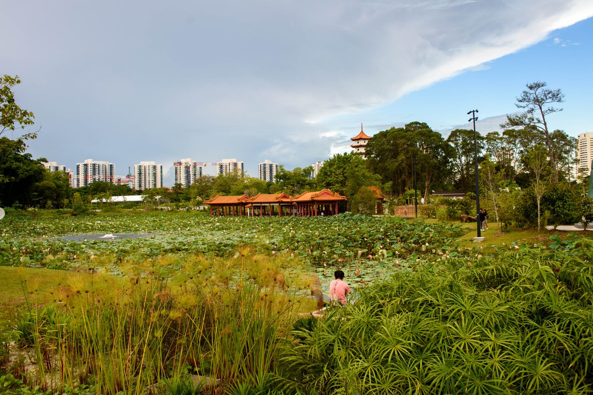 Enjoyed the tranquil and picturesque scenery of the Chinese Garden on a recent #jalanjalan. The June school holidays are here. I hope parents will take time to explore our #CityInNature with your kids, and enjoy staying active together. – LHL go.gov.sg/wrd3om