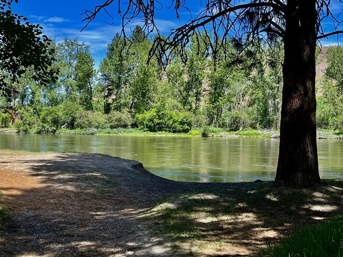 sallymauk's tweet image. Savoring these lingering days of smoke-free blue skies, vivid green foliage and overflowing rivers, knowing such days are numbered.
#prefireseason
