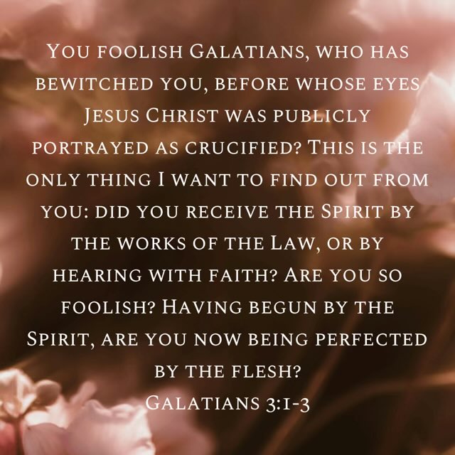 CameronJacoby14's tweet photo. @jeremiahhurt Sanctification is of the Spirit. Praise God from whom all blessings flow! https://t.co/rt4wU1W6d8