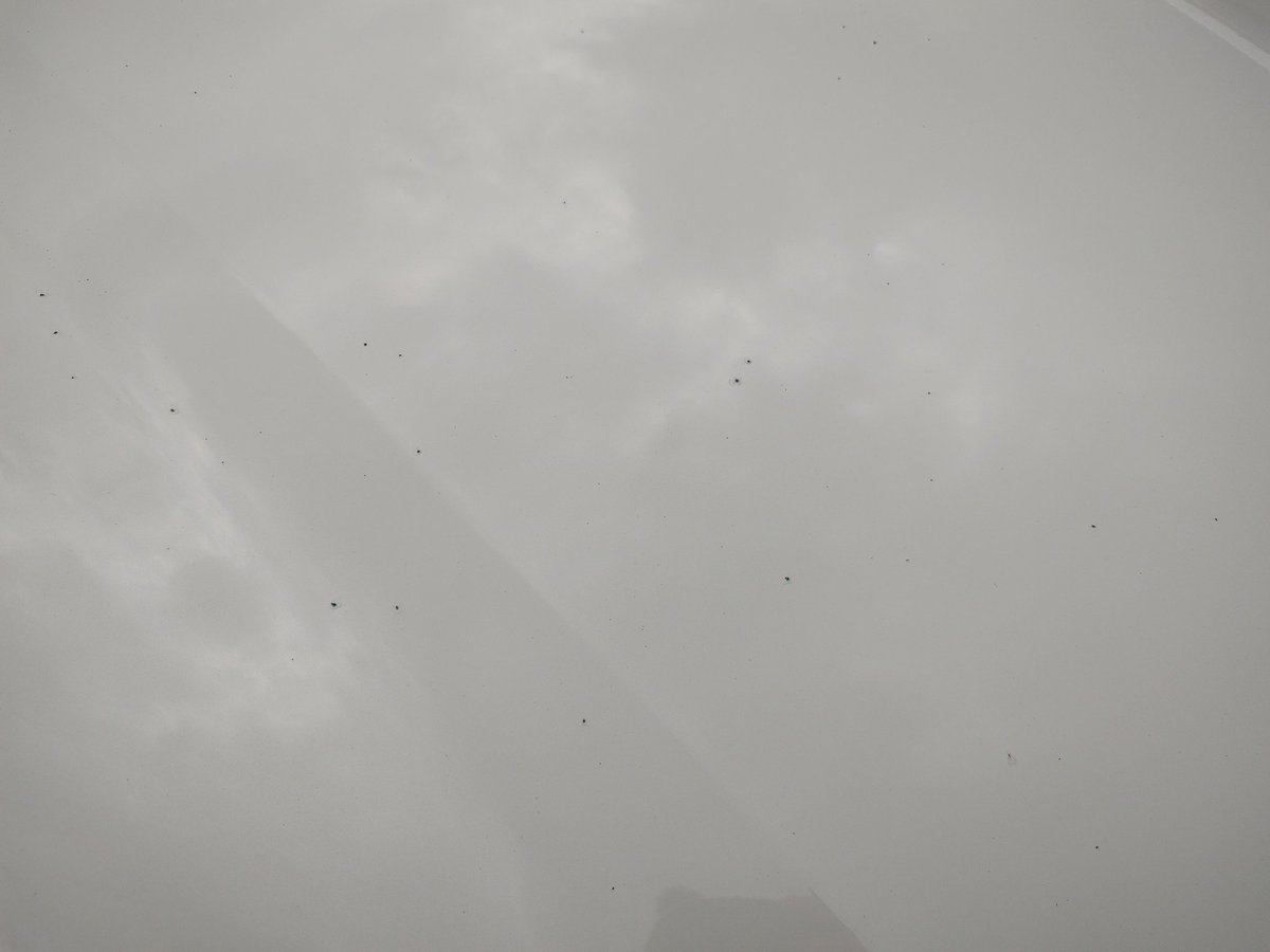 ZN8_Chaser's tweet image. #S耐　#富士24時間　#Fuji24h
昨日の花火でクルマめっちゃ汚れたんだけど…