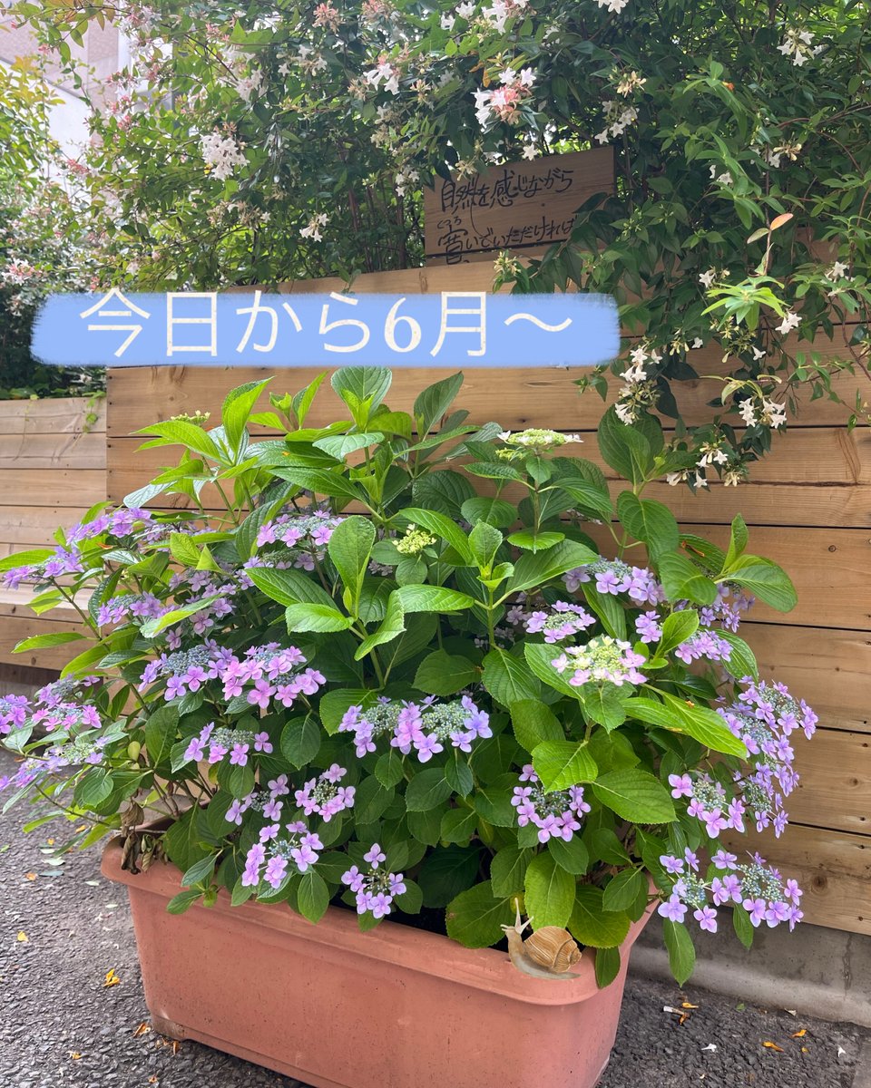 opera_park's tweet photo. 6月だー
#OperaSeasons https://t.co/m68YhLfena
