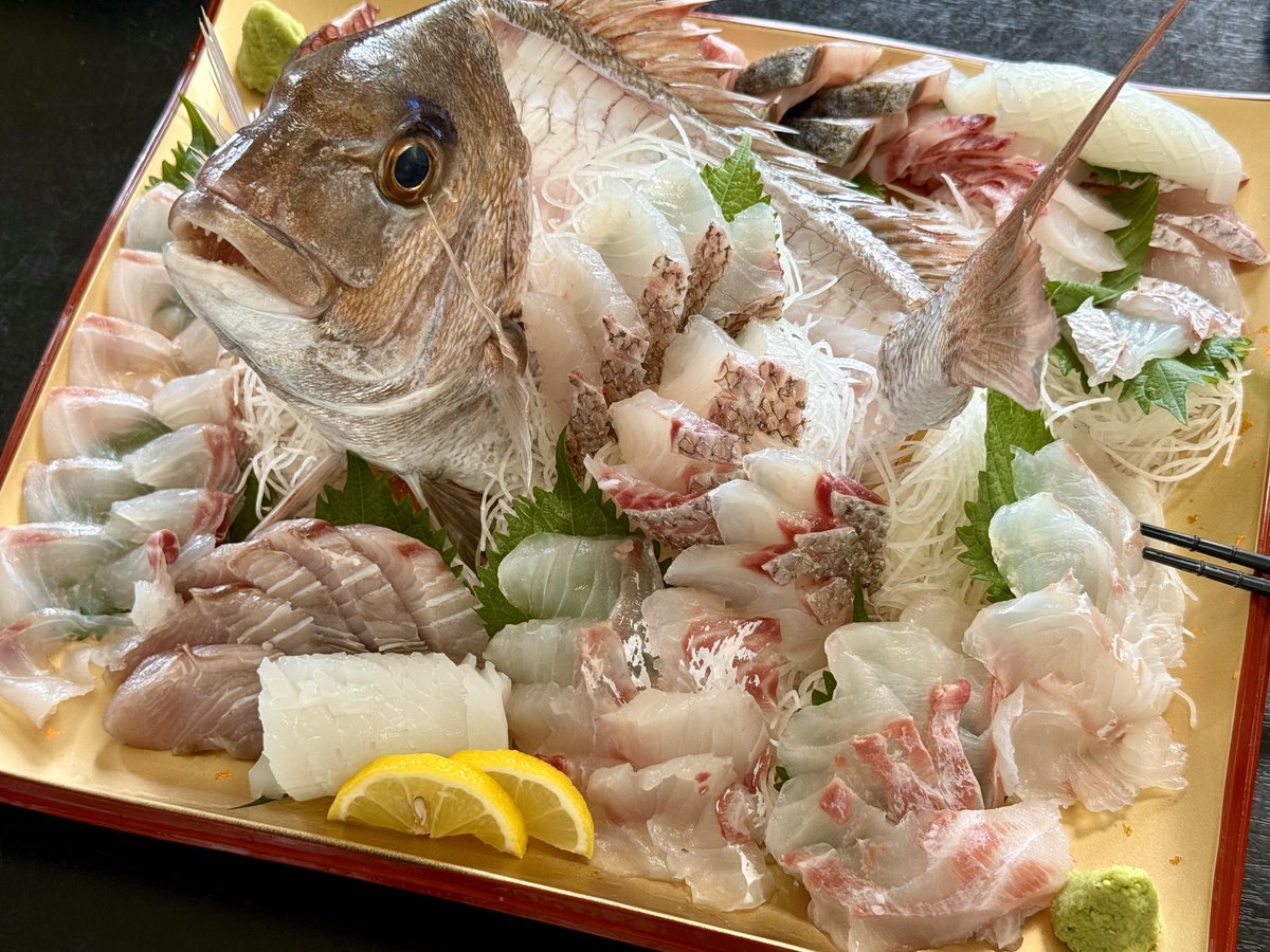 ✌=͟͟͞͞✌( ‘ω’ )✌=͟͟͞͞✌