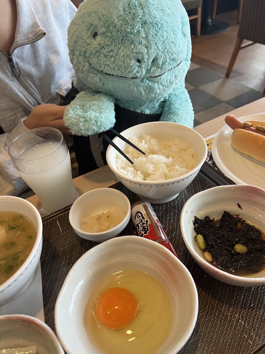 ぬーさん)
みなさんおはようございますだぬ️🩵
今日の朝はガストでもーにんぐしてきただぬ☺️
キッズメニューも美味しそうだったぬ🤤
主たちのご飯を食べてあげただぬ！

主)
ぬーさんほんとによく食べるなぁ、、、