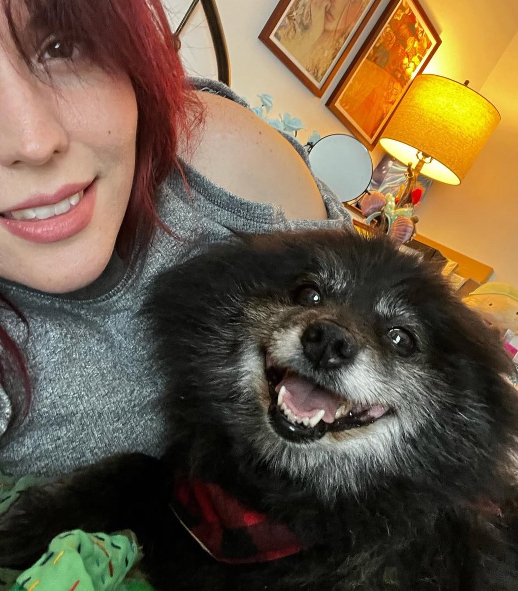 I’m heartbroken to say Bear passed away peacefully in my arms last night after battling long term chronic illness.

I am so grateful for the time we shared together. Thank you for bringing so much love &amp; light into my life.

Rest in peace my sweet Bear. I love you so so much. 💔