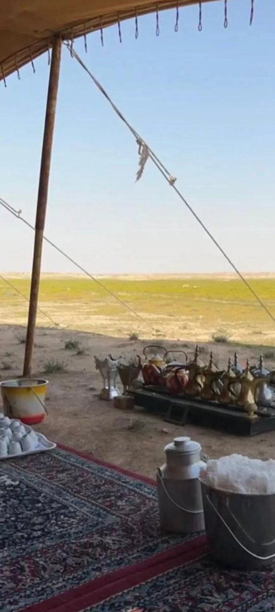 يااللي تصدَّق  للمساكين  في صمت
عساك  يالمنعور  من  زود  في  زود

يوم ان بعض الناس طيبه على النت
عطاه  واحسانه  مصوَّر  وموجود  !

شايم