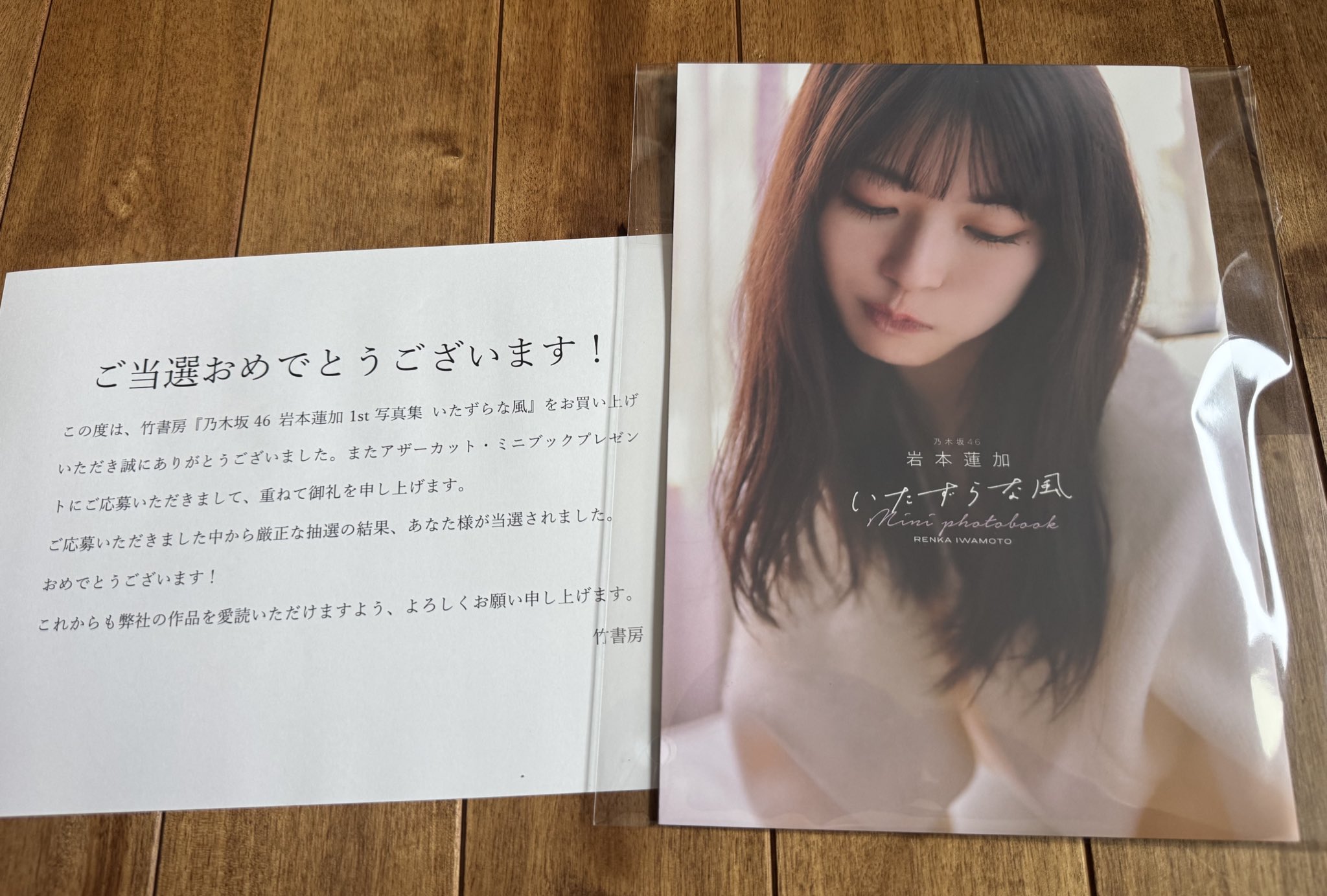 乃木坂46 岩本蓮加 写真集 いたずらな風 アザーカットミニブック