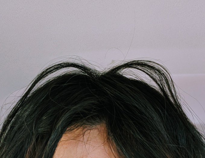 待てや
俺の寝癖 可愛すぎるやろ
月村手毬ちゃんか? 