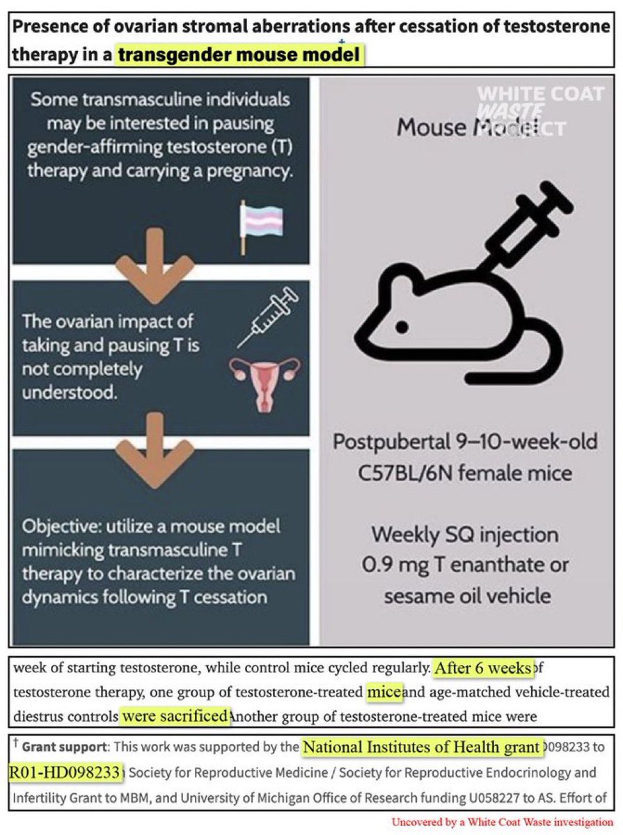 Justin Goodman (@justinrgoodman) on Twitter photo Tax-funded transgender animal tests are real
But NBC White House Correspondent <a href="/GarrettHaake/">Garrett Haake</a> still lies about it months after <a href="/WhiteHouse/">The White House</a> published receipts uncovered by <a href="/WhiteCoatWaste/">White Coat Waste</a>’s investigation
Why would we trust anything he writes when he lies about this simple fact? Tax-funded transgender animal tests are real
But NBC White House Correspondent <a href="/GarrettHaake/">Garrett Haake</a> still lies about it months after <a href="/WhiteHouse/">The White House</a> published receipts uncovered by <a href="/WhiteCoatWaste/">White Coat Waste</a>’s investigation
Why would we trust anything he writes when he lies about this simple fact?