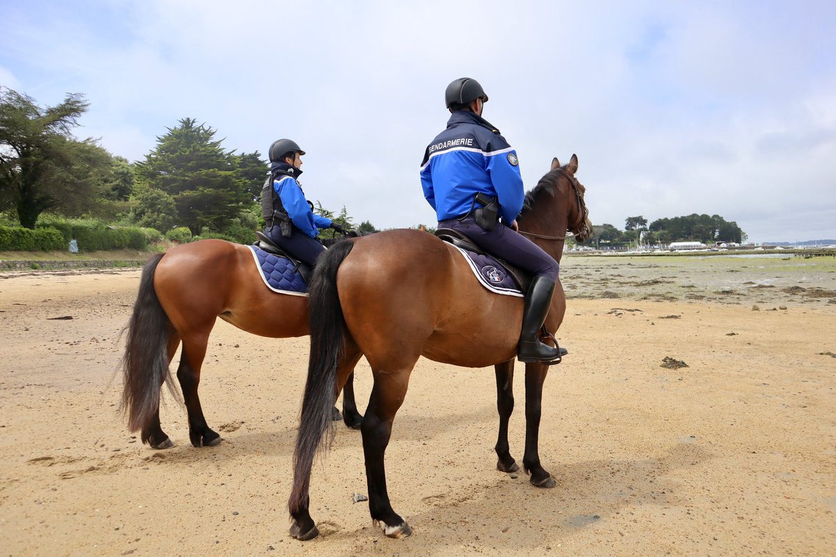 🐎 À l’occasion de la #SemaineDuGolfe, une patrouille équestre était engagée à #Sarzeau.
Mobilité, discrétion et proximité avec le public pour veiller à la sécurité des festivités dans un cadre exceptionnel.🌊🛥️ 
#GGD56 #Maritime #GendarmesÀCheval