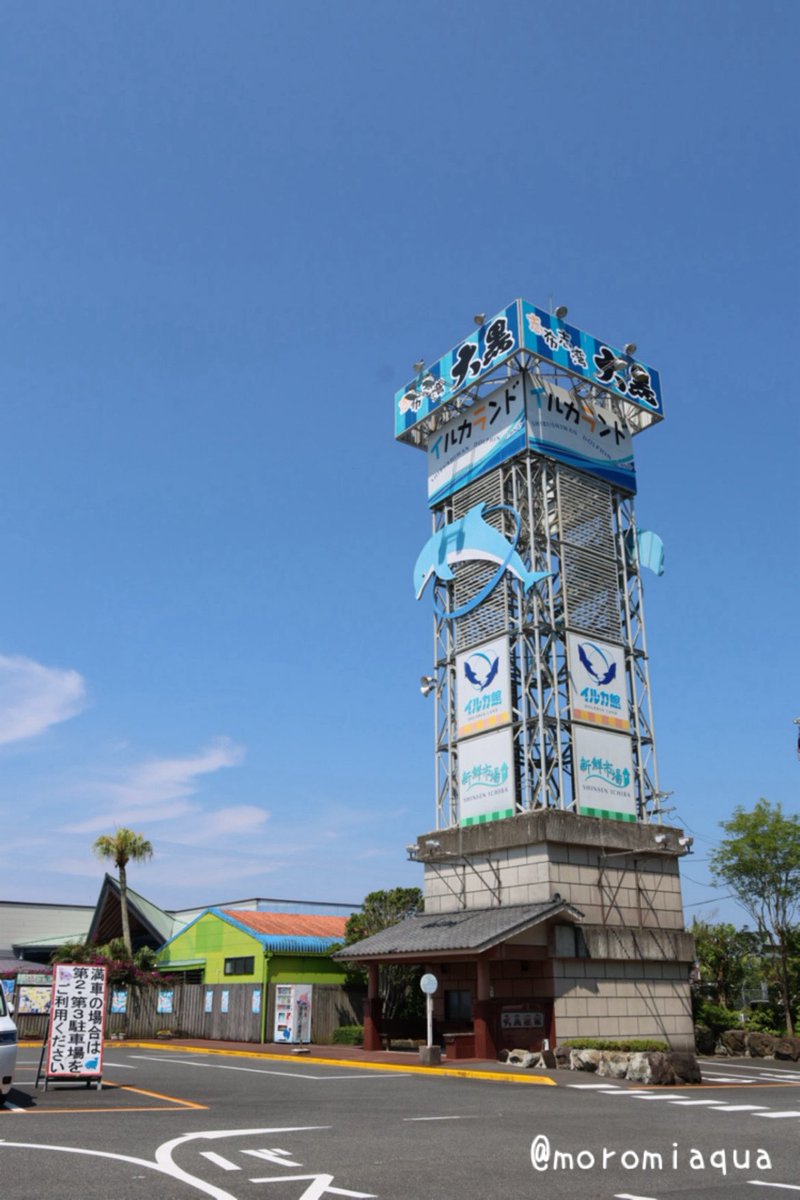moromiaqua's tweet photo. 土日で鹿児島県、#いおワールド #かごしま水族館 と宮崎県、 ##志布志湾大黒イルカランド へ行きました。
かごしま水族館は目玉のジンベエザメはもちろん、イルカの赤ちゃんもいて大満足な展示で4時間以上滞在しちゃいました。
イルカランドはイルカショーが30分以上の大ボリュームですごかったです😳 https://t.co/oJQDSDaQPI