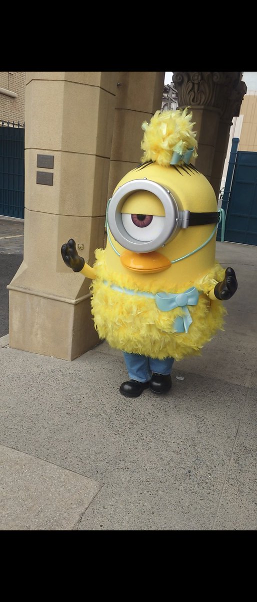 tama72331844's tweet image. ヨチヨチ歩きで現れた😄

#USJファン #USJ #ミニオンズ #ミニオン