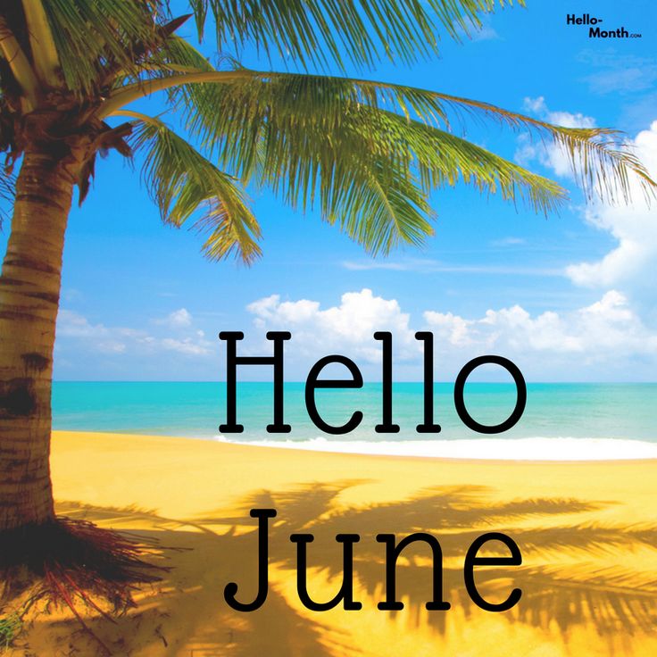 HKCC040616's tweet photo. #goodmorning happy #sunday and welcome to a new month full of #sunshine #sandybeaches #tropicaltrees and lazy days.
#grateful to live where we do here in #catalunya between the #sea and the #mountains.
Have a beautiful day π΅οΈπ΅οΈβ€οΈ
#kindnessmatters #gratitude #happiness #author https://t.co/jE5ksSEydI