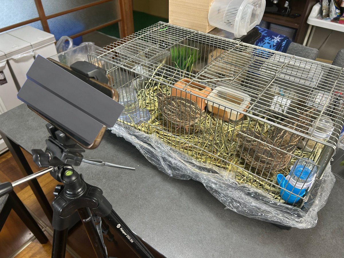 おーちゃんねる」公式 (@Ohchan_ch) / Posts / X