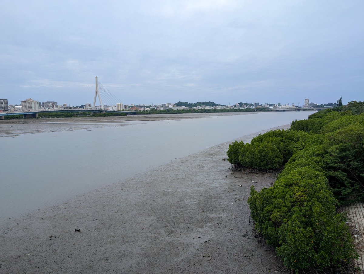 ここが沖縄で有名な漫湖かぁー