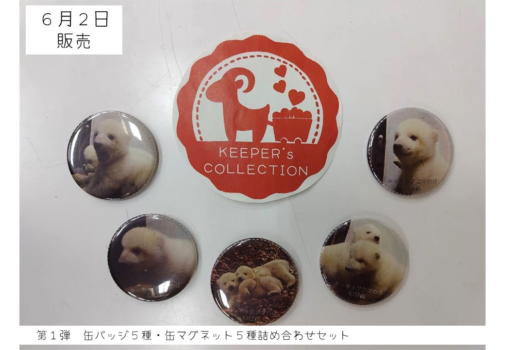 キーパーズコレクション では、明日6月2日（月）のホッキョクグマ親子