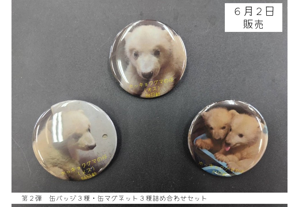 キーパーズコレクション では、明日6月2日（月）のホッキョクグマ親子