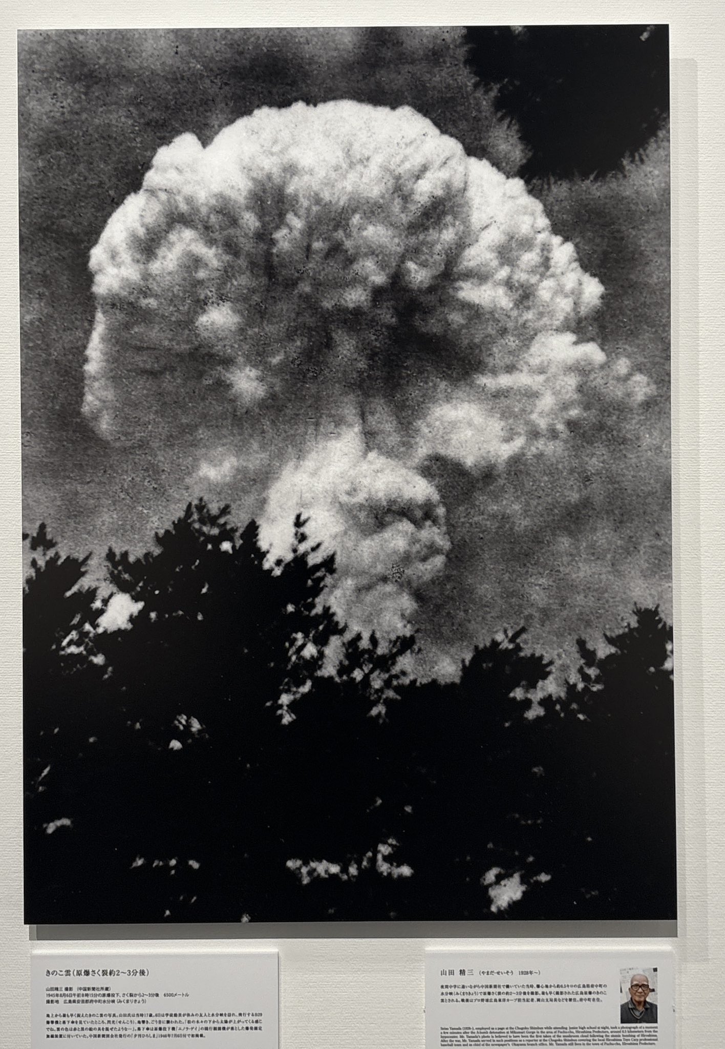 Flash of Light, Wall of Fire: Japanese Photographs