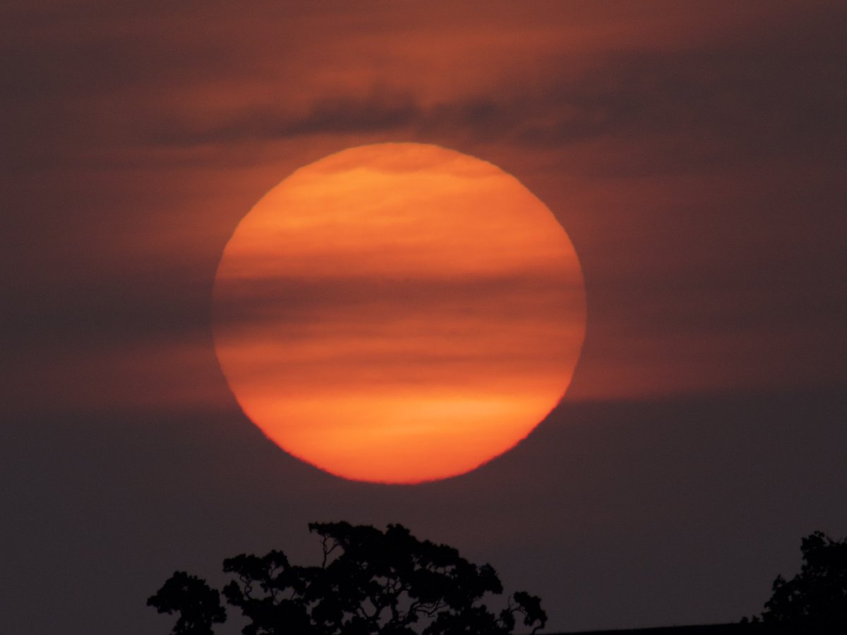 Tim Ridgeway tweet media