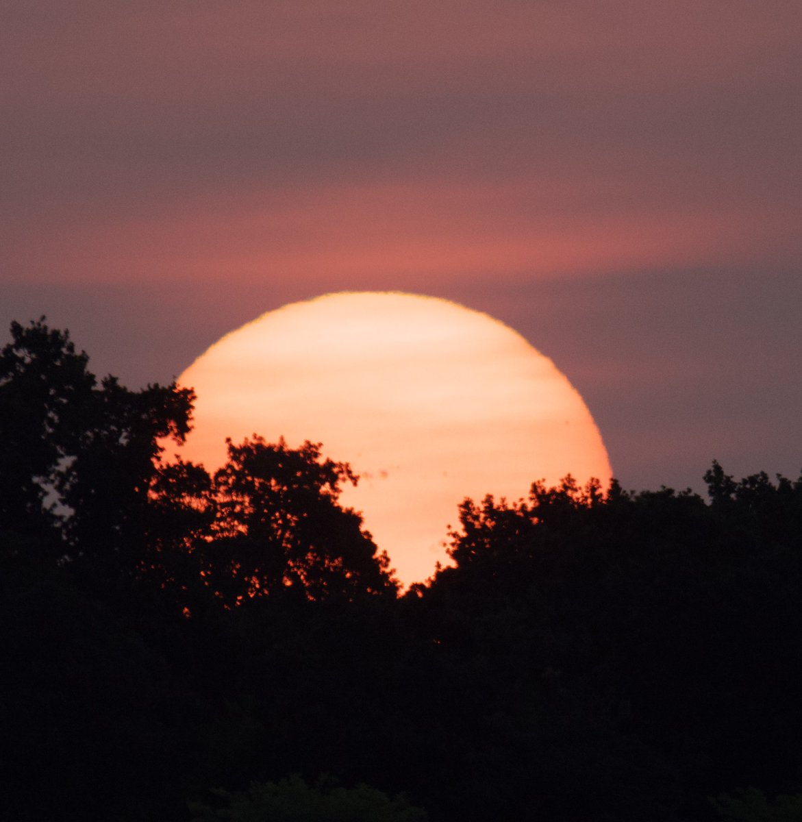 Tim Ridgeway tweet media