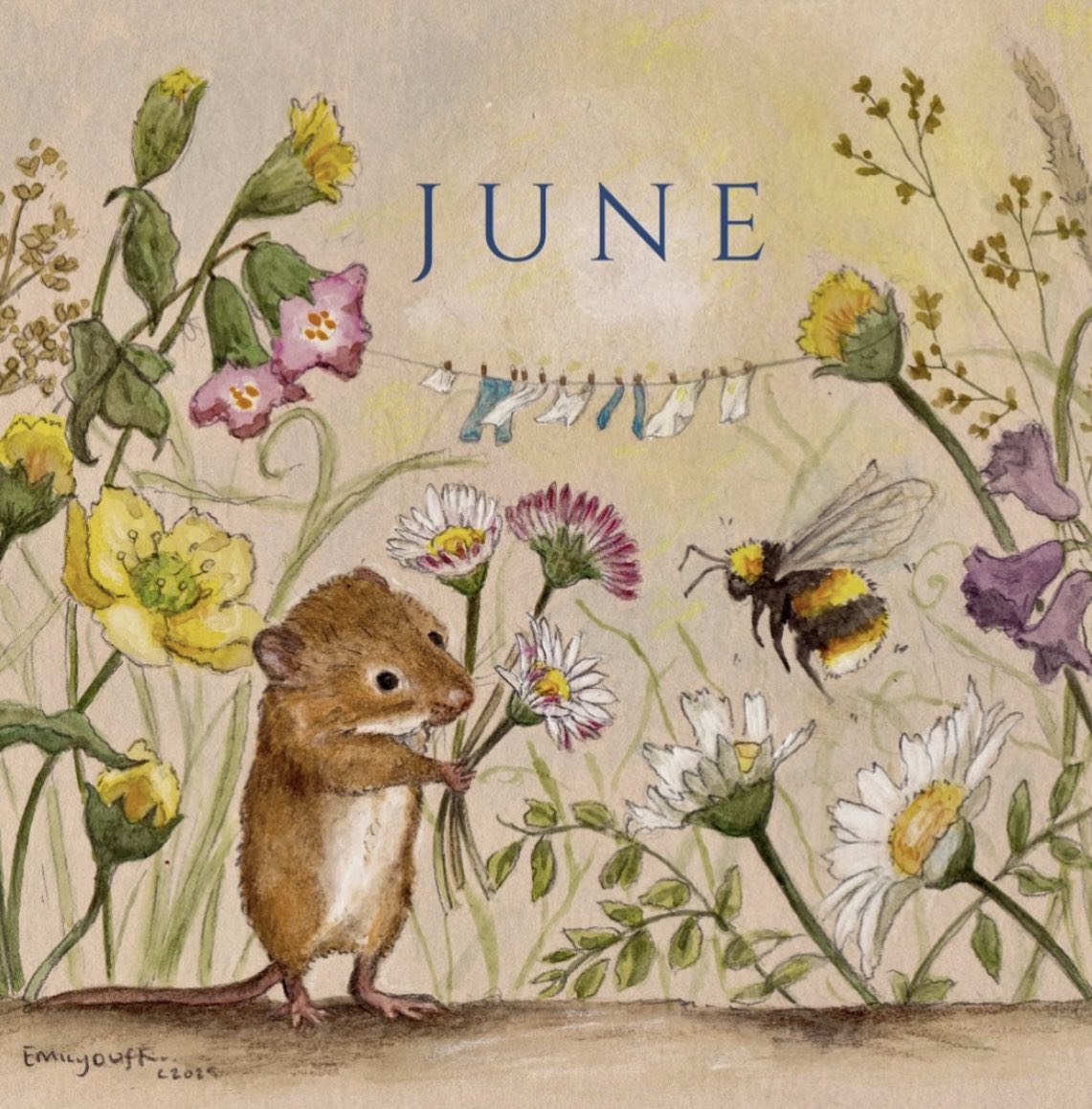 Hello June

🎨Emily Duffin