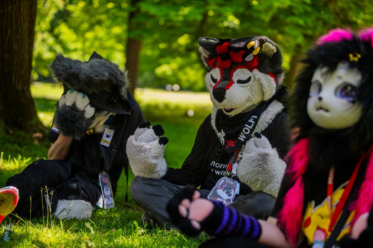 Ryuxwolf tweet media