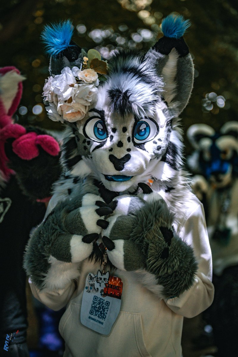 Ryuxwolf tweet media