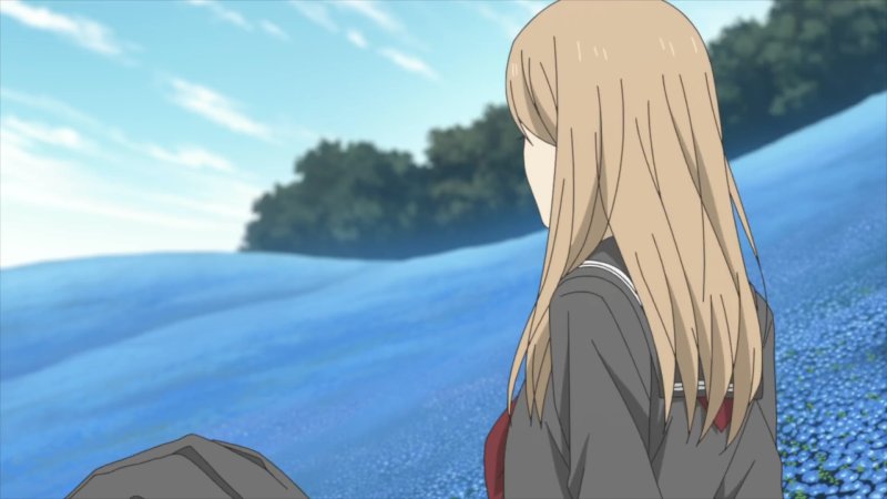 예쁜 꽃밭이네.