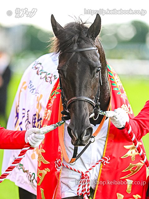 第92回 #日本ダービー 優勝馬🏆🏇 #クロワデュノール Croix du Nord