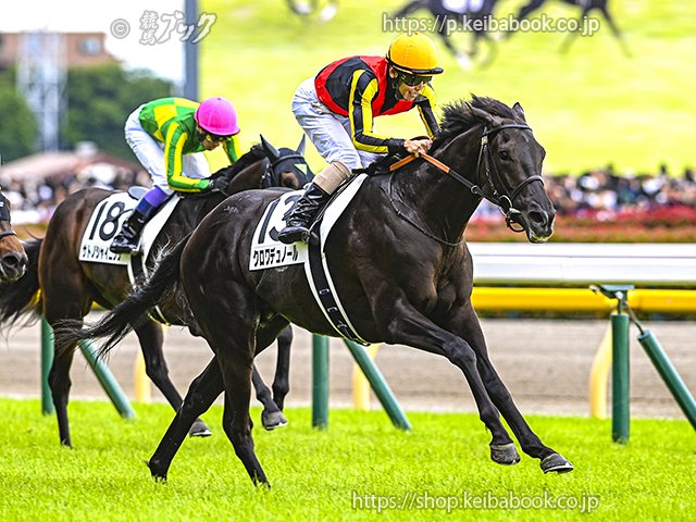 第92回 #日本ダービー 優勝馬🏆🏇 #クロワデュノール Croix du Nord