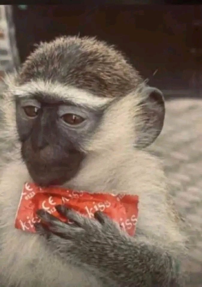 As you are celebrating your loudio win, don't forget to use some to try for the mummy buy fund on <a href="/multiplierfun/">Multiplier</a> 
That 9k is there for the taking