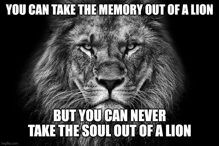 The Soul Whisperer (@desoulwhisperer) on Twitter photo 