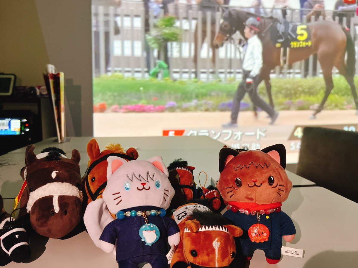 ダービーはショウヘイ、マスカレードボール、サトノシャイニングは当てたのにガミったにゃ！！