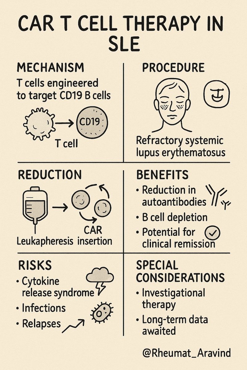 CAR T cell therapy in SLE:
<a href="/IhabFathiSulima/">Dr Ihab Suliman</a> #MedTwitter