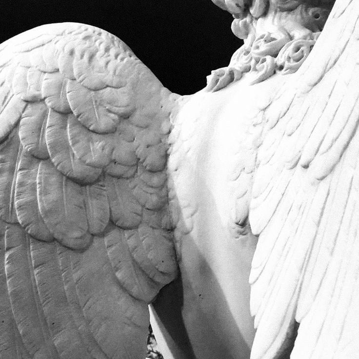 foyewr's tweet photo. One day I'm gonna grow wings. https://t.co/tBc5iSl6d9