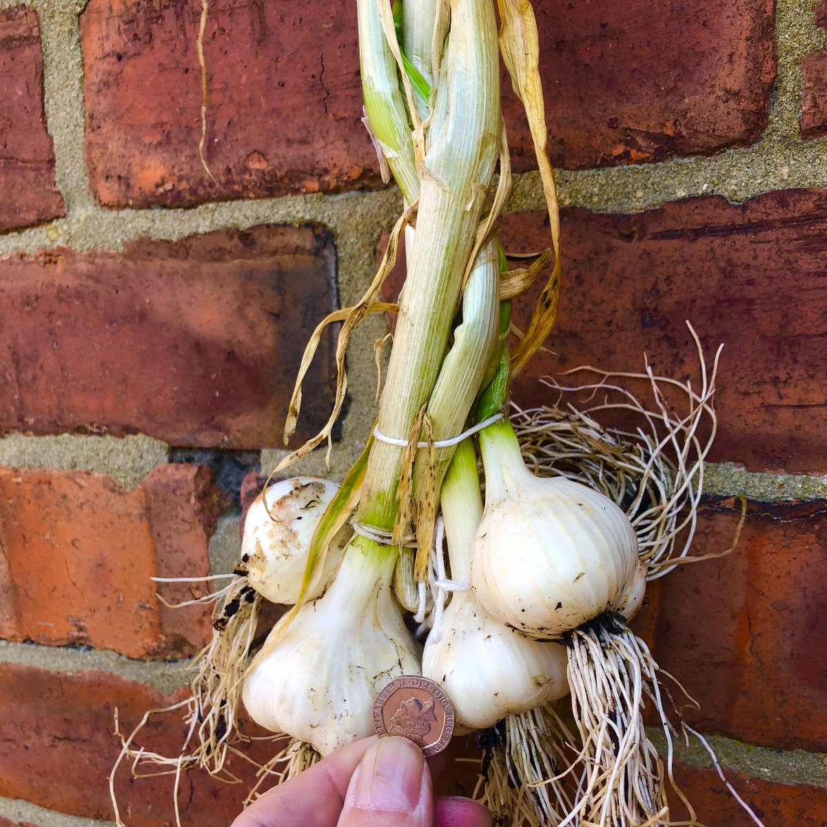 My name is Ozymandias, king of kings:
Look on my works, ye Mighty, and despair!’