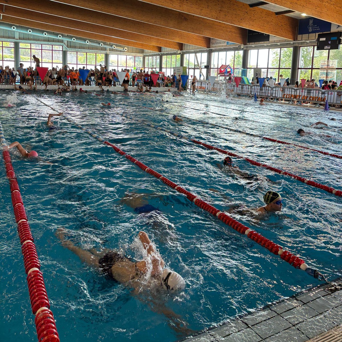 C.E. de l'Anoia tweet media