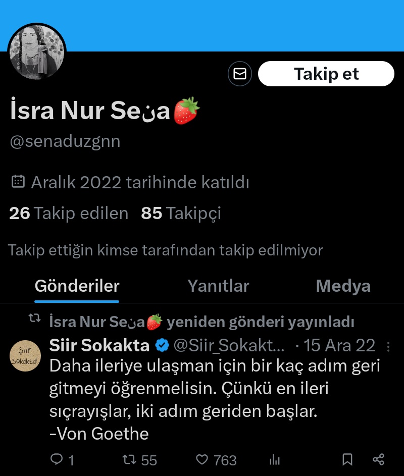 luminousfaiiry's tweet photo. Senanın hesabını buldum🥺🥺
#senadüzgün https://t.co/9IRsQzdtKw