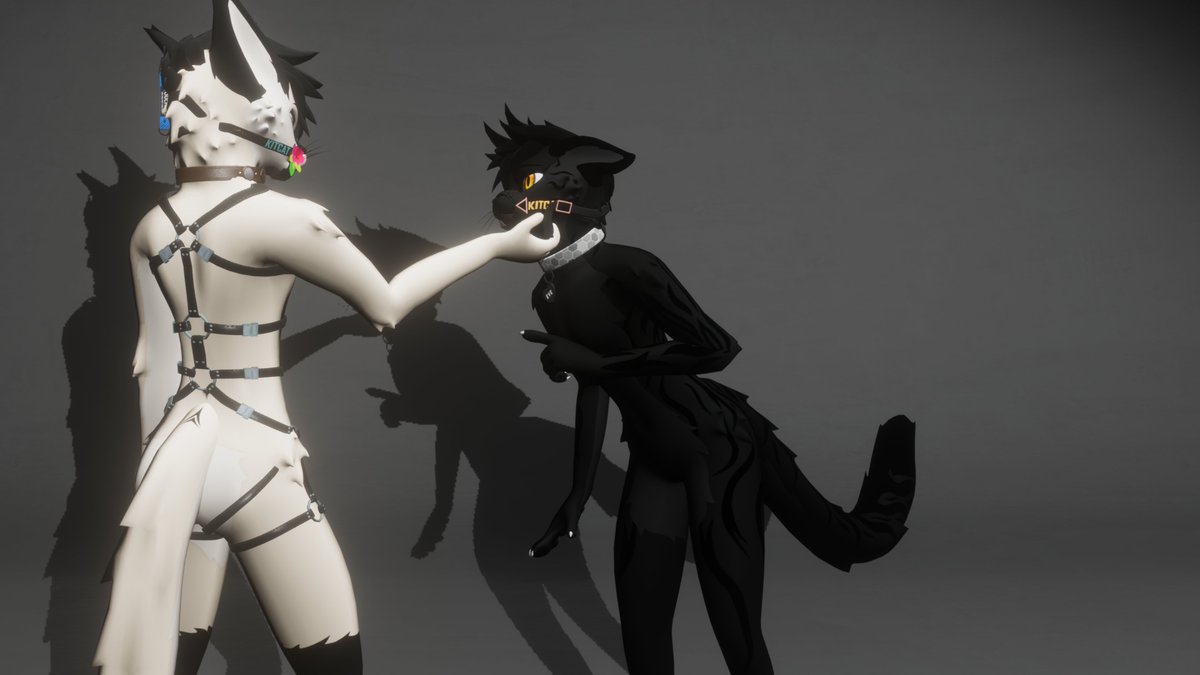 EveKinkyKitty's tweet photo. Slowly gonna transition this account to a new sona (still a black cat named Eve, but male and anthro) and also include VRC content.

Sorry to all feral cat enjoyers qwq
CC @ncat_loucha https://t.co/Jsb0CVLfiR