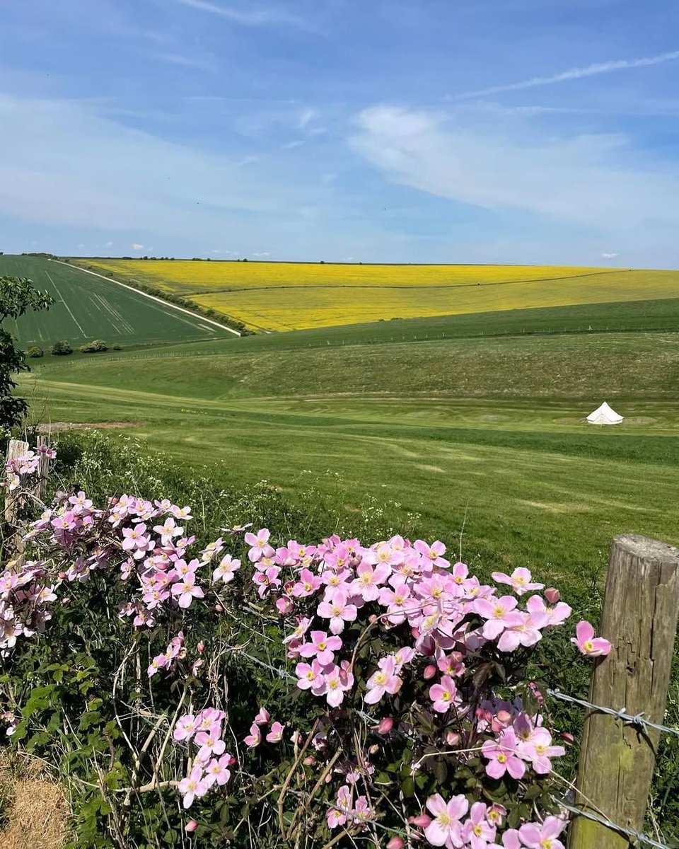⛺🌾 Nestled in the rolling hills of the South Downs National Park, Chalky Downs Campsite offers a back-to-nature escape with absolutely stunning views and plenty of space to unwind! 🌞🌿  

camping-directory.uk/2747 

#Brighton #Camping #SouthDownsNationalPark #FamilyCamping