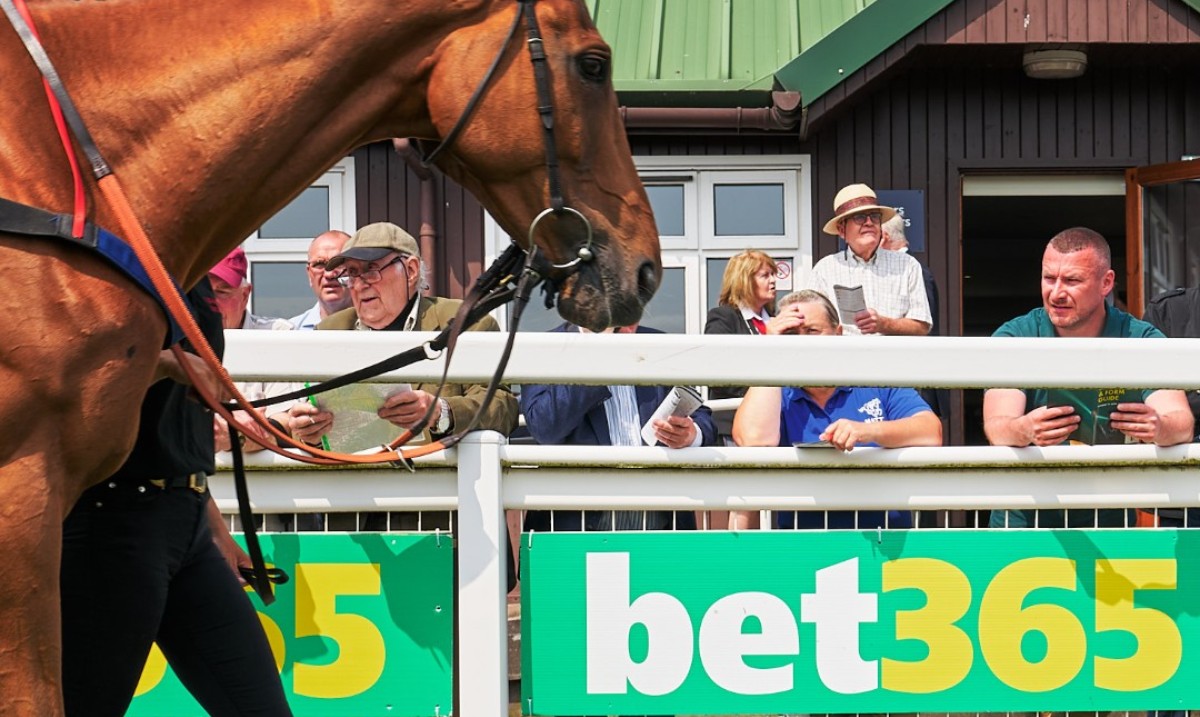 ⁠One week to go! 🏆

🏇 <a href="/bet365/">bet365</a> Gold Cup Day
📅 Sunday 8th June

Book online 𝐍𝐎𝐖 for the best price! 🎟️